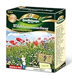 Wildblumenmischung (ohne Gräser) 200g für 200m²