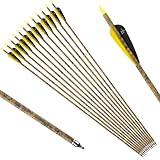 S F Bogenschießen Erwachsene Pfeile für bogenschießen Carbonpfeile，Geeignet für compoundbogen Recurvebogen Langbogen-12 Stück （28 Zoll）