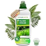Purgrün® Palmendünger 1 Liter – Schnelles Wachstum dank extra Stickstoff – Guano für kräftige Palmwedel – Vollspektrum-Nährstoffe – Konzentrat für ca. 400 Liter Gießwasser – Premium-Flüssigdünger