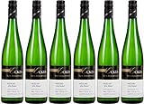 GUT PHILIPPSHOF Riesling Alte Reben 2024 Halbtrocken (6 x 0.75 l)
