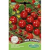 Germisem Tomate RED CHERRY, mehrfarbig, EC8004