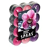 Spaas Pack de chauffe plats parfumées Orchidée Sauvage 24 Duft-Teelichter Farben Sortiert, ± 4,5 Stunden-Wild Orchid, Sojawachs, Aubergine, D 39 mm x H 16 mm