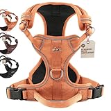 FREUDENTIER Hundegeschirr mit Mesh-Polsterung - Höchster Komfort, bombenfester Sitz & maximale Sicherheit - Anti-Zug-Frontring - Brustgeschirr für große, mittelgroße und kleine Hunde (Orange, XL)