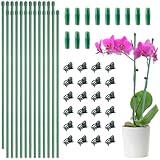 24 Stück Pflanzstäbe, Spleißbare Pflanzstäbe, stabile Fiberglas-Garten-Orchideenpfähle mit Clips für Topfblumen, Kletterpflanzen, 39,9 cm