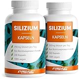 Silizium hochdosiert 480 Kapseln - 714 mg siliziumreiches Bambussprossen-Extrakt mit 536 mg Kieselsäure, davon 250 mg elementarem Silizium pro Tag - laborgeprüft mit Zertifikat - Vorrat für 240 Tage