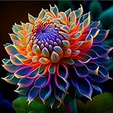 Dahlienzwiebeln, Dahlien Knollen,Blumenzwiebeln,Winterhart,Winterhart MehrjäHrig,Stauden,Gartenpflanzen,GroßE Blumen,Dahlien Knollen Winterhart