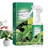 100 Ml Luftpflanzen-Düngerspray, Pflanzenpflege-Nährstofflösung, Professionelle Flüssigformel, Fördert Gesundes Wachstum Von Blättern Und Blüten, Gartenbedarf Für Drinnen Und Draußen