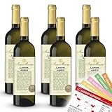 Antico Monastero Langhe Arneis DOC, trocken, sortenreines Weinpaket + VINOX Winecards (6x0,75l)