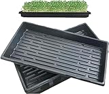 Lechansen Anzuchtschale Pflanzschalen 6er Set, 38cm Saatzucht Trays ohne Drainagelöcher,Profi Gärtnerbox Pflanzschale Pikierschale für die Pflanzenkeimung Microgreens Hydroponische Anwendung