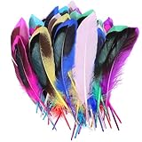 Acooruiteng Federn Zum Basteln Flauschig und Weich Feder Feather Bastelfedern Bunte Federn für DIY Ohrring Hochzeit Traumfänger Kopfschmucksfedern Schulhandwerk 50 Stück