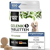 Gelenktabletten Hund I TESTSIEGER I Made in Germany I Grünlippmuschel Hund, MSM, Teufelskralle, Weihrauch I Hunde Gelenktabletten I Hohe Akzeptanz I 100 Stück für bis zu 6 Monate