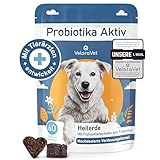 VeloraVet Probiotika Hund – Magen Darmsanierung & Darmkur für Hunde-Darmflora, Präbiotika, Flohsamenschalen & Heilerde, Tierärztlich empfohlen bei Durchfall, Sodbrennen – 60 Probiotika Tabletten