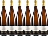 Kitzer Scheurebe 2023 Feinherb (6 x 0.75 l)