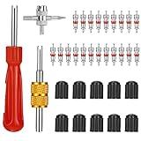 tonyg-p Reifenventilentferner Ventil Reparatur mit Doppel und Einzelkopf Ventilkern, 1 Stück 4 Wege Ventilkernwerkzeug, 10 Stück Reifenventilkappen, 20 Stück Ventilkern (Silber)