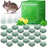Yineaae Mäuse Vertreiben, 24 Stück Giftfreie Rattengift Mäuseköder, Rattenabwehr Mäusegift- Natürliche Pfefferminzöl, Extra Stark Anti Spinnen, Rattenabwehr, Ameisen für Haus und Garten- Grün