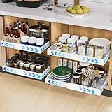 2 Pack erweiterbar ausziehbare schublade küche mit Kleber, ausziehbarer schrank organizer, Stick Slide Out teleskopschublade Cabinet Pull Out für Küche Pantry Organisation Einstellbare Breite 32-53cm