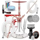 Little Dragon® Shisha Set Komplett - Shisha 2 Anschlüsse mit edlem Shisha Zubehör - Grandioser Durchzug und geniales Rauchverhalten - Wasserpfeife 71cm mit Klick System & Closed Chamber