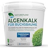 TESTSIEGER Bio Algenkalk für Buchsbäume – Widerstandskraft und Regeneration für anfällige Buchsbäume (Buchsbaumzünsler) - Premium Buchsbaum Dünger und Spritzmittel - Buchsbaumdünger 1kg﻿