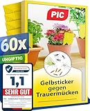 PIC Gelbsticker Trauermücken - 60x Gelbtafeln gegen Trauermücken, Effektiv Gelbfalle für Trauermücken und gegen kleine fliegen in blumenerde, Alternativ zu Nematoden gegen Trauermücken bekämpfen