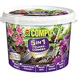 COMPO 5in1 Pflanz-Dünger und mehr für alle Zimmerpflanzen, Balkon- und Gartenpflanzen, 6 Monate Langzeitwirkung, 1,5 kg, lila
