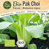 Little Plants BIO Pak Choi Samen 100 Pak Choi Saatgut Taisai Gemüsesamen für Gemüsegarten Samenfest Gemüse Samen Salatsamen für Küche, Balkon und Garten