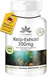 Kelp Extrakt 200mg - 250 Tabletten - hochdosiert - vegan - natürliches Jod | HERBADIREKT by Warnke Vitalstoffe - Deutsche Apothekenqualität