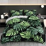 Bettwäsche-Sets Tropischer Monstera-Blatt-Druck Bettbezug 240x220 cm, Weiche Bügelfrei Mikrofaser Bettbezüge Set mit Reißverschluss und 2 Kissenbezüge, GrüN Bettbezug 3-Teilig für Erwachsene