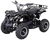 Actionbikes Motors Kinder Elektro Miniquad ATV Torino | 𝟭𝟬𝟬𝟬 Watt 𝟑𝟔 Volt - Scheibenbremsen - Umweltfreundlicher Elektromotor - LED-Scheinwerfer - Kinder Quad (1000 Watt Schwarz)