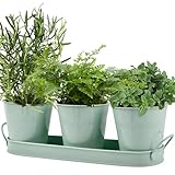 3er-Set kräutertöpfe Metall,Kräutergarten mit Tablett,Kräutertopf Küche,Herb Pots Indoor/Outdoor,Pflanztöpfe für Kräuter,Basilikum, Minze, Petersilie-Frische Kräuter Zuhause Anbauen