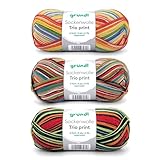 Gründl Sockenwolle Trio Strickset aus 3 x 100 g Sockengarn (75% Schurwolle (superwash), 25% Polyamid), Anleitung, bunte streifen