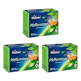 Meßmer Pfefferminze | 3x Pfefferminztee Vorteilspaket | 150 Teebeutel | Pfefferminze | Glutenfrei | Laktosefrei | Vegan