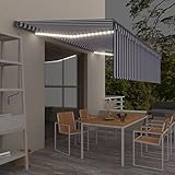 LAPOOH Manuelle Markise mit Rollläden, Markisen für den Außenbereich, Markisen für Terrasse, vertikale Markisen und LEDs, 5 x 3 m, Blau und Weiß