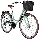 ZÜNDAPP Z700 28 Zoll Damen Fahrrad Damenfahrrad Tiefeinsteiger mit Korb Citybike Damen Hollandrad Damenrad City Bike 6 Gang Hollandfahrrad mit tiefem Einstieg 700c (pastellgrün, 46 cm)