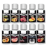 Lean:Life – Vital Sirup Mix - 100 ml Fläschchen - 10 verschiedene Sorten - Getränkesirup zuckerfrei – mit Vitamin B12, B6, C, L Carnitin und Biotin