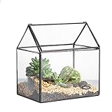 NCYP 15,5x11x16 cm Kleines Geometrisches Terrarium, Haus-Form, Glas, schließbar, Gewächshäuschen für Sukkulenten Moos Farn, mit Klappdeckel (ohne Pflanzen)