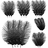 Gogogmee 20 Stück Schwarze Straußenfedern 15 20cm Weiche Bastelfedern für Hochzeitsdeko Tischdekoration Vase und Partygestaltung