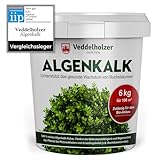 DER SIEGER 09/2020 Veddelholzer 6kg Bio Algenkalk 100% reines Pulver aus Meeresalgen stärkt Widerstandskraft & Regeneration des Buchsbaum beim Buchsbaumzünsler Buchsbaumdünger Naturdünger Spritzmittel