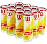 WILSON Championship Extra Duty 3 Balldosen (12er-Pack)