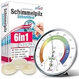 Schimmeltest + Thermohygrometer: Zum Check der Schimmelbelastung für bis zu 6 Räume. Inkl. analogem Thermo-Hygrometer