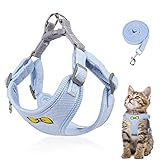 Katzentasse Set für Katzen, Polyester, verstellbare Katzengeschirr mit Leine, Katzengeschirr, Objektiv, Geschirr für Katzen, sicher für Kätzchen Hunde (blau -M)