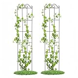 XUYBonh 2 Stück Garten Spalier für Kletterpflanzen, 94 x 20 cm, Rankgitter rostfreies für Topfpflanzen im Innenbereich, Pflanzenstütze im Freien, Metall-Pflanzenstützspalier für Weinreben – Schwarz