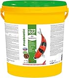 sera Koi All Seasons Probiotic 21000 ml (7 kg) - Mit Bacillus subtilis für gesunde, Starke Koi