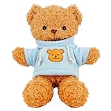 Kuscheltier Teddybär Plüschtier, kuscheltier bär mit Kapuze，Stofftier Schmusetier zum Kuscheln & Spielen, Squishmallow Teddybär Geschenk, Teddybär Plush Dekoration für Jungen und Mädchen (Blau 30cm)