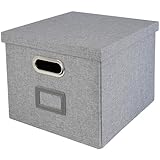HMF Aufbewahrungsbox mit Deckel für DIN A4 Hängeregister | passend für Kallax | 33 x 37,5 x 28 cm | Grau