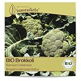 Samenliebe BIO Brokkoli Samen alte Sorte Ramoso Calabrese italienischer Broccoli frühreifender Kohl grün 200 Samen samenfestes Gemüse Saatgut für Gewächshaus und Freiland BIO Gemüsesamen winterhart