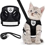 Welpen/Katzen Geschirr und Leine Sets Ausbruchsicher Weich Mesh Verstellbare Westen Geschirre Hunde Katzen Haustier Atmungsaktiv Mesh Gurt für Outdoor Training Gehen, XS (Schwarz)