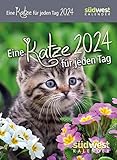 Eine Katze für jeden Tag - Tages-Abreißkalender 2024 - Südwest-Verlag - Aufstellkalender - 11 cm x 15 cm