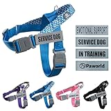 Paworld Hundegeschirr, Diensthundegeschirr, Norwegergeschirr Hund, Sicherheitsgeschirr mit 4 reflektierenden Aufnähern, Verstellbar, Griff, für Spaziergänge, Training und Laufen (Blau, S)