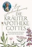 Die Kräuterapotheke Gottes: Die wirksamsten Kräuter sammeln und anwenden