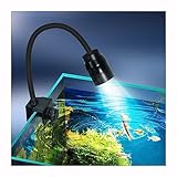 boxtech Aquarium Beleuchtung, Aquarium LED Zoom Lichter Hohe,3 Farben Einstellbare Brennweite,Temperaturbeständigkeit Schnelle Wärmeableitung und nachhaltige Nutzung 10W